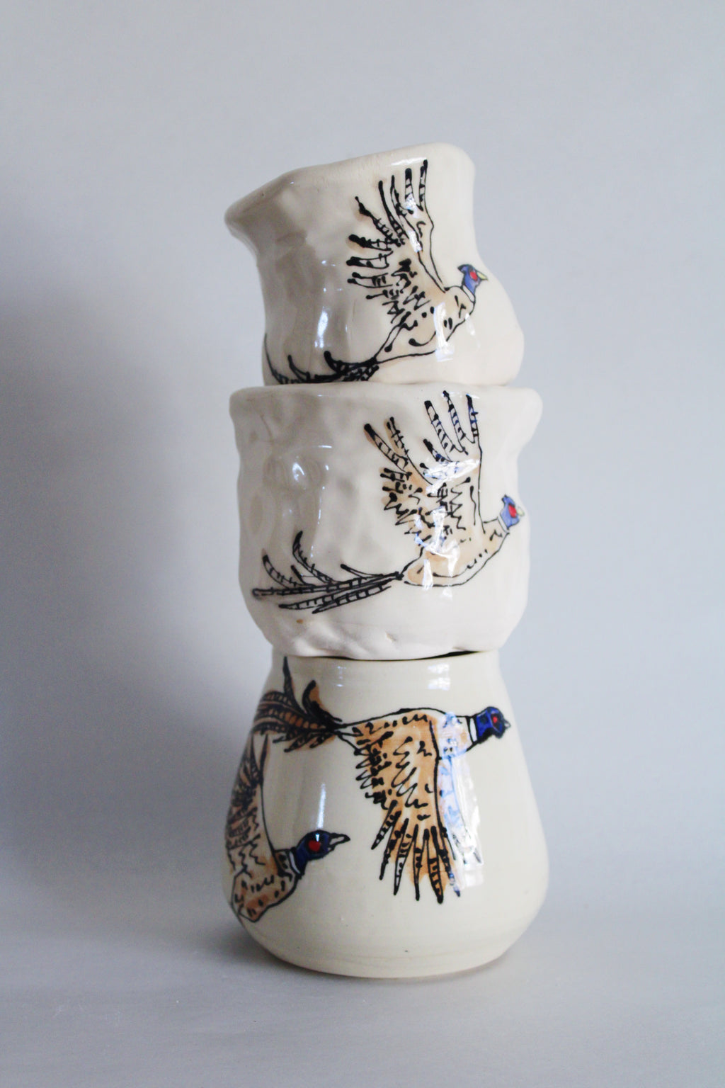 DISCOUNTED Ring-Necked Pheasants Junior Set 575