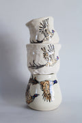 DISCOUNTED Ring-Necked Pheasants Junior Set 575