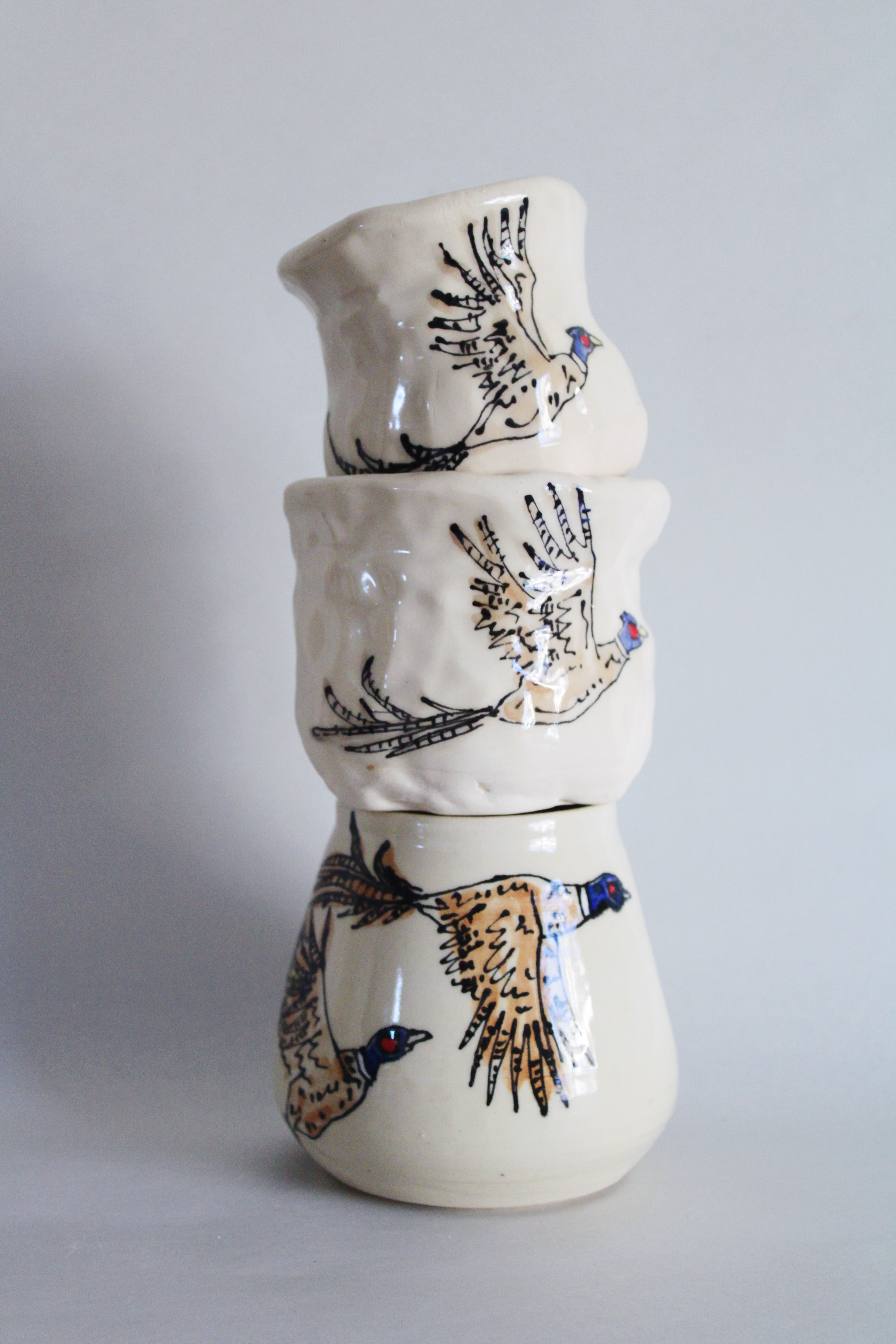 DISCOUNTED Ring-Necked Pheasants Junior Set 575