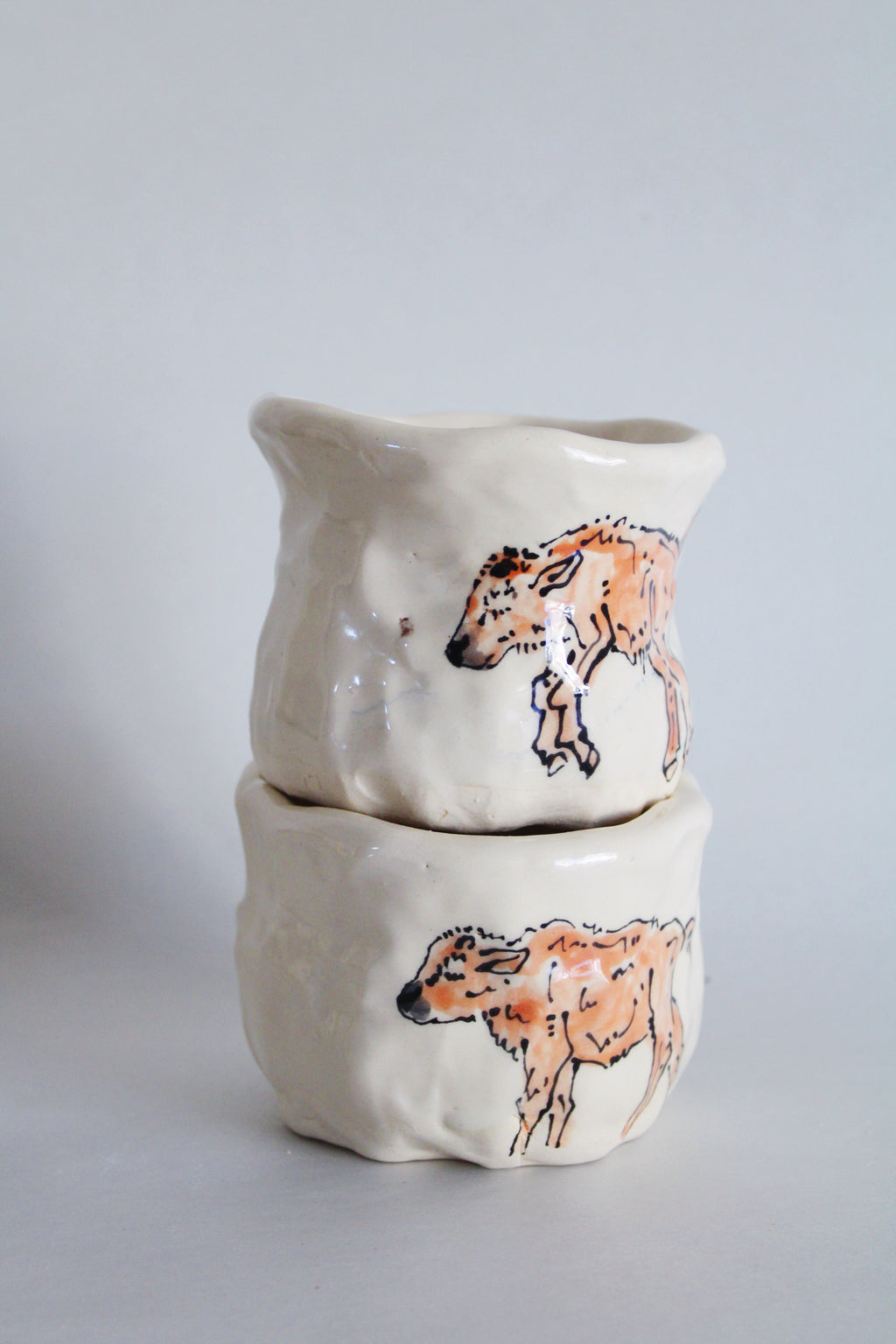 Bison and Calf Set 570
