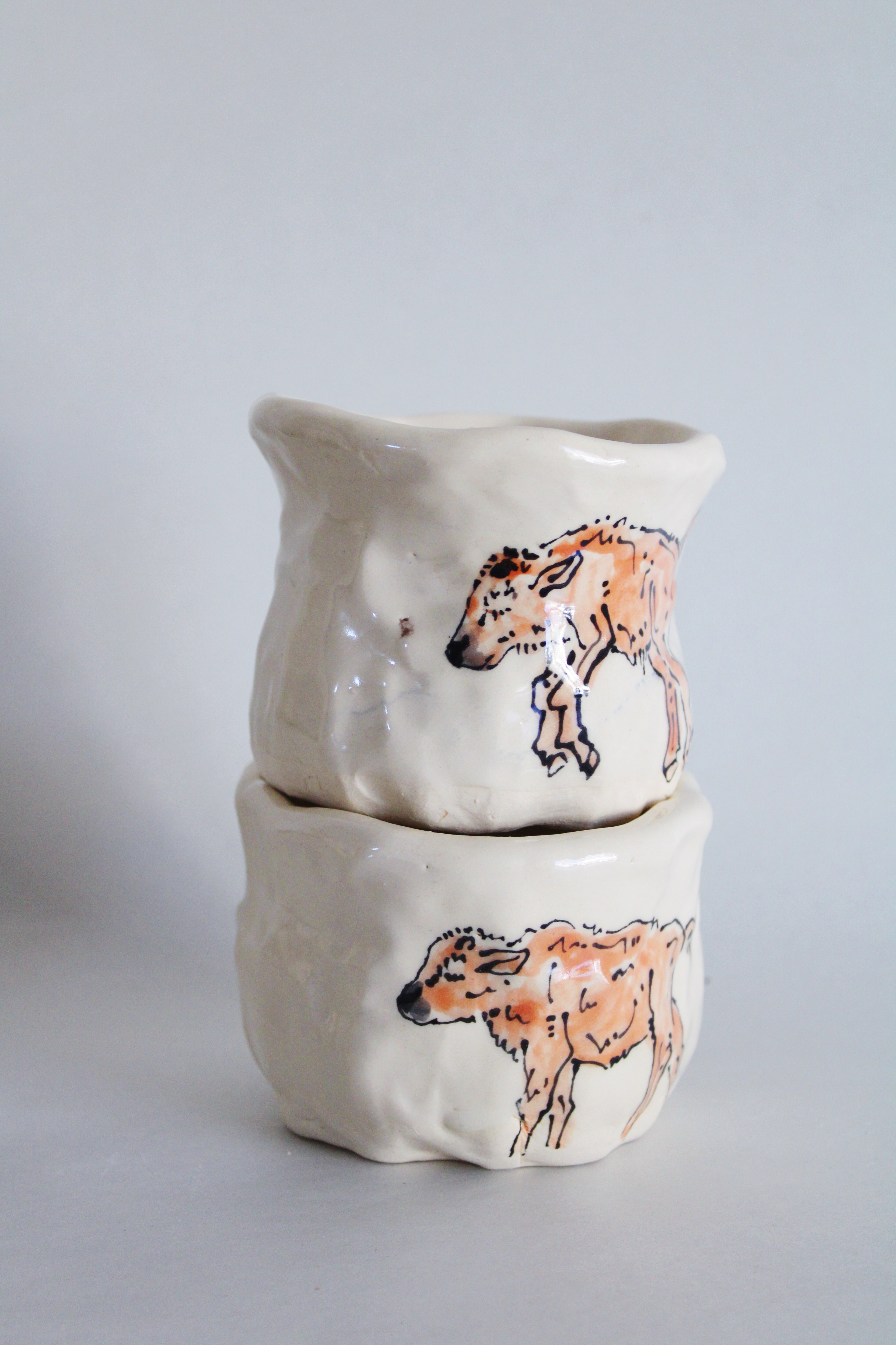 Bison and Calf Set 570