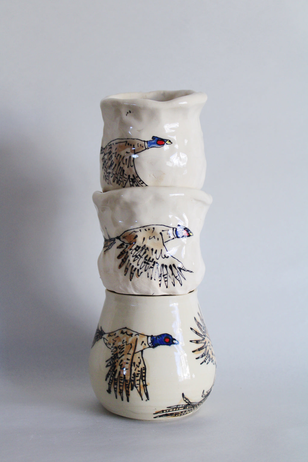 DISCOUNTED Ring-Necked Pheasants Junior Set 574