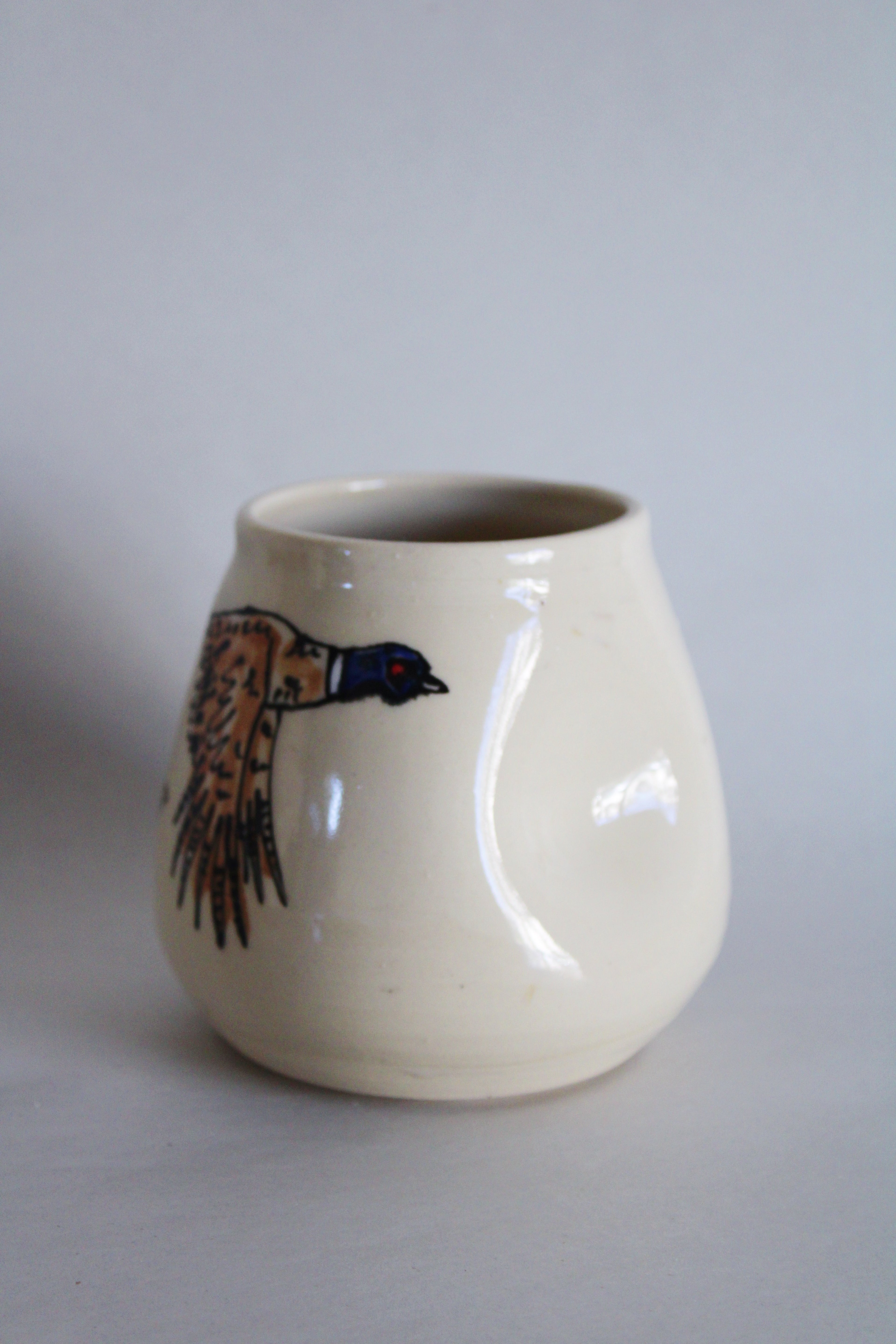 DISCOUNTED Ring-Necked Pheasants Junior Set 575