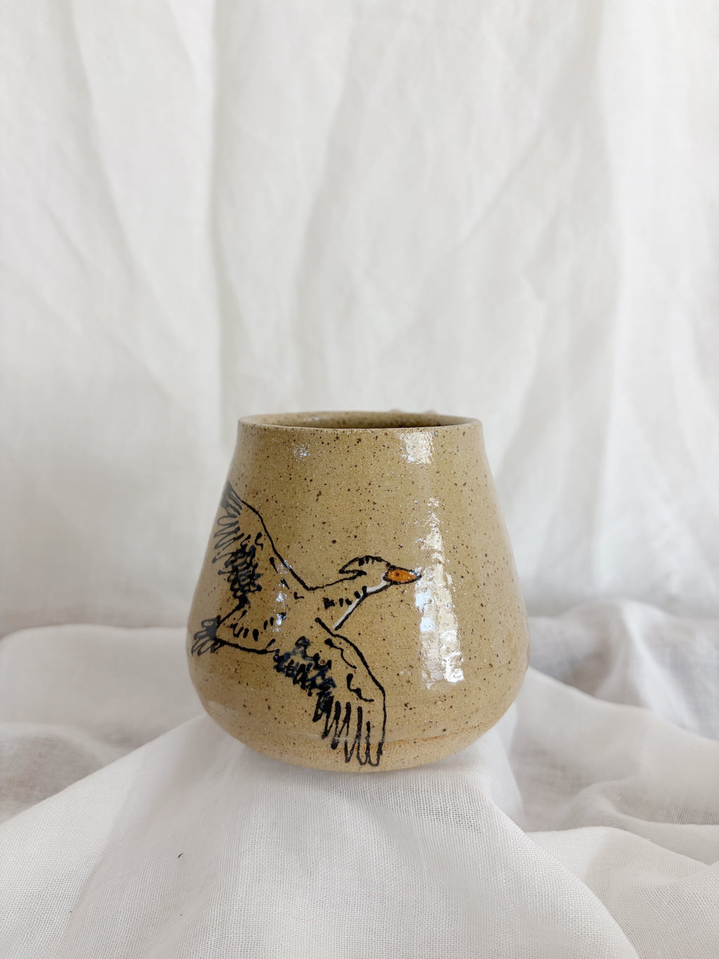 Wood Duck Mug