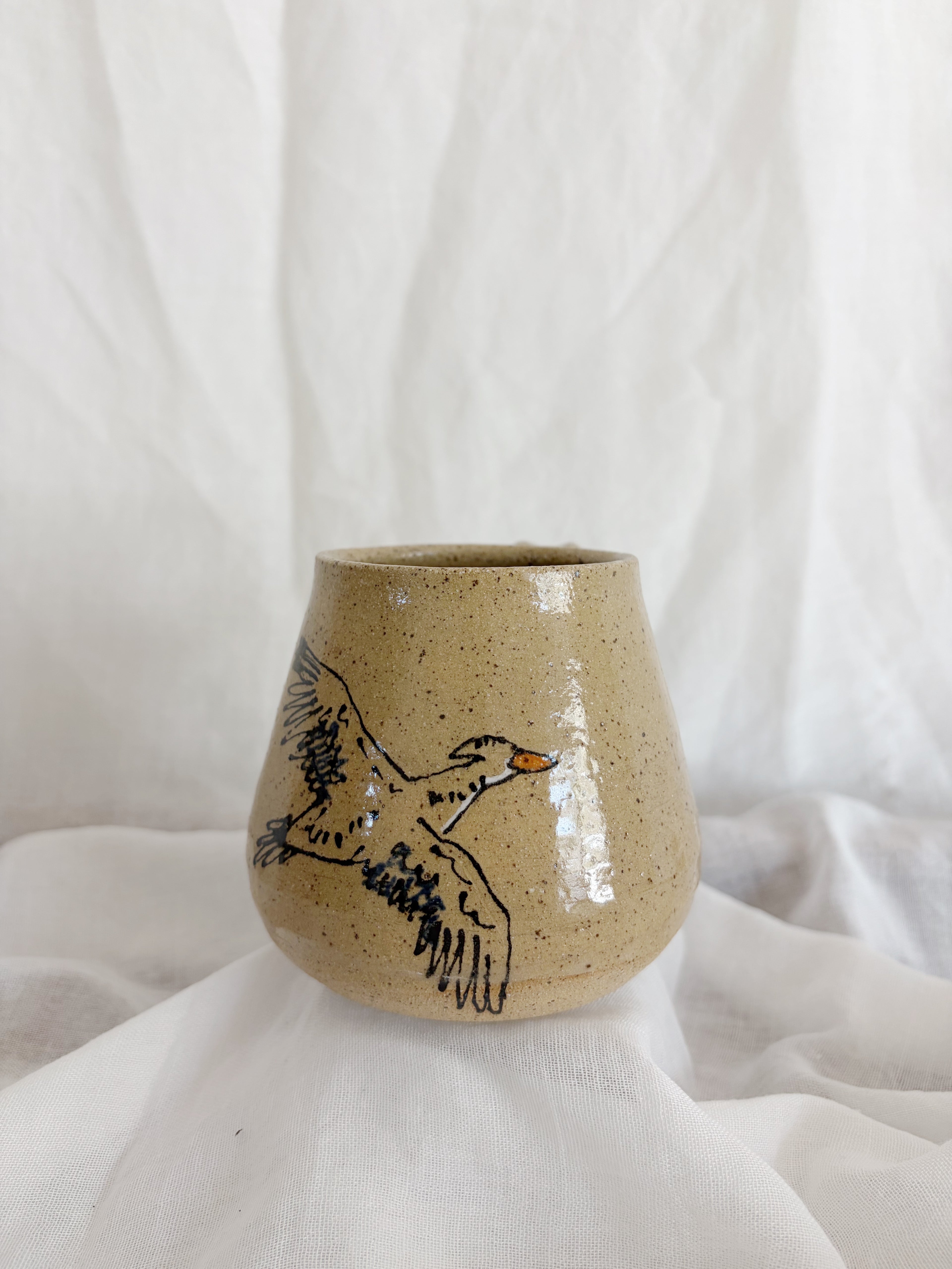 Wood Duck Mug