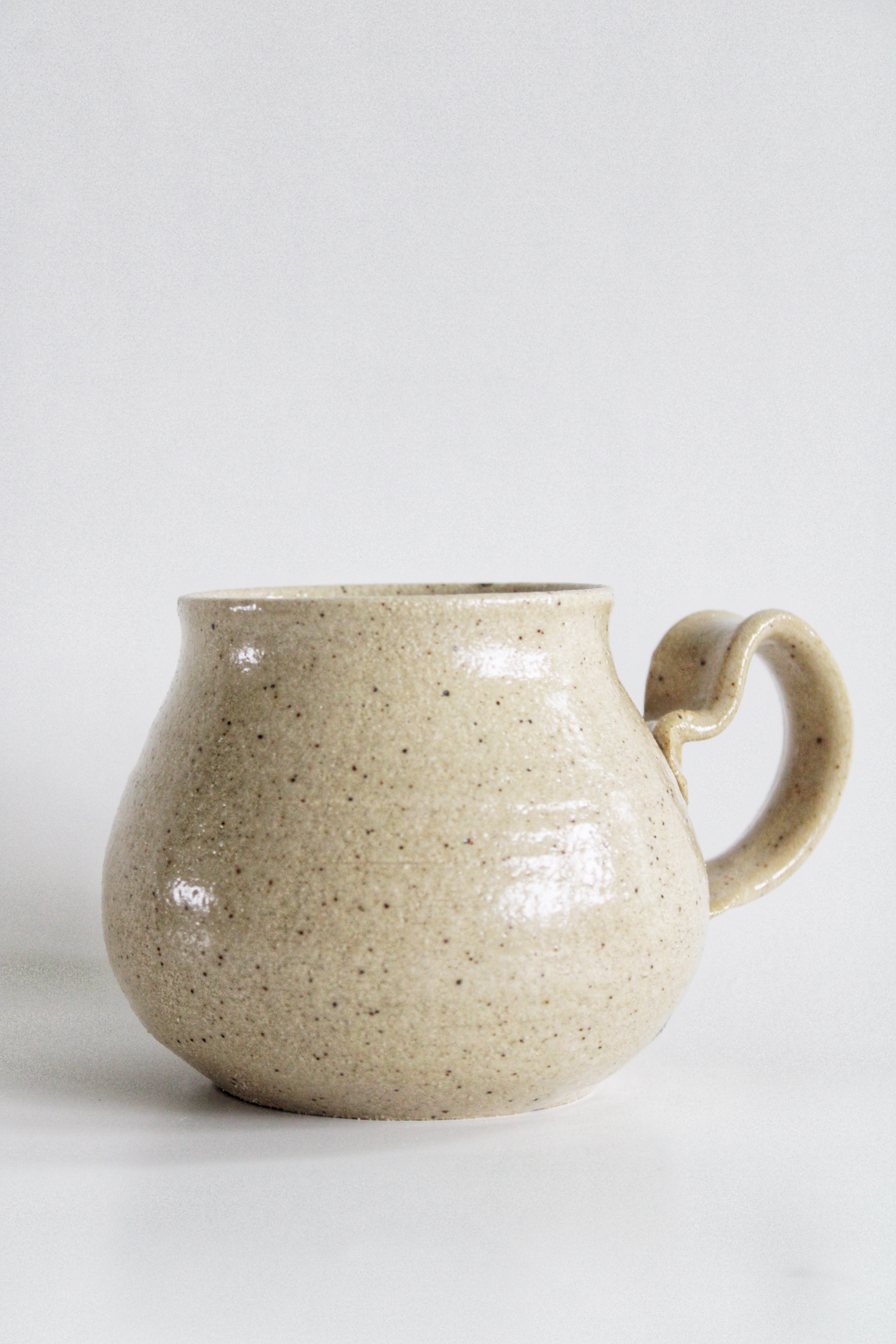 Mallard Duck Mug 02