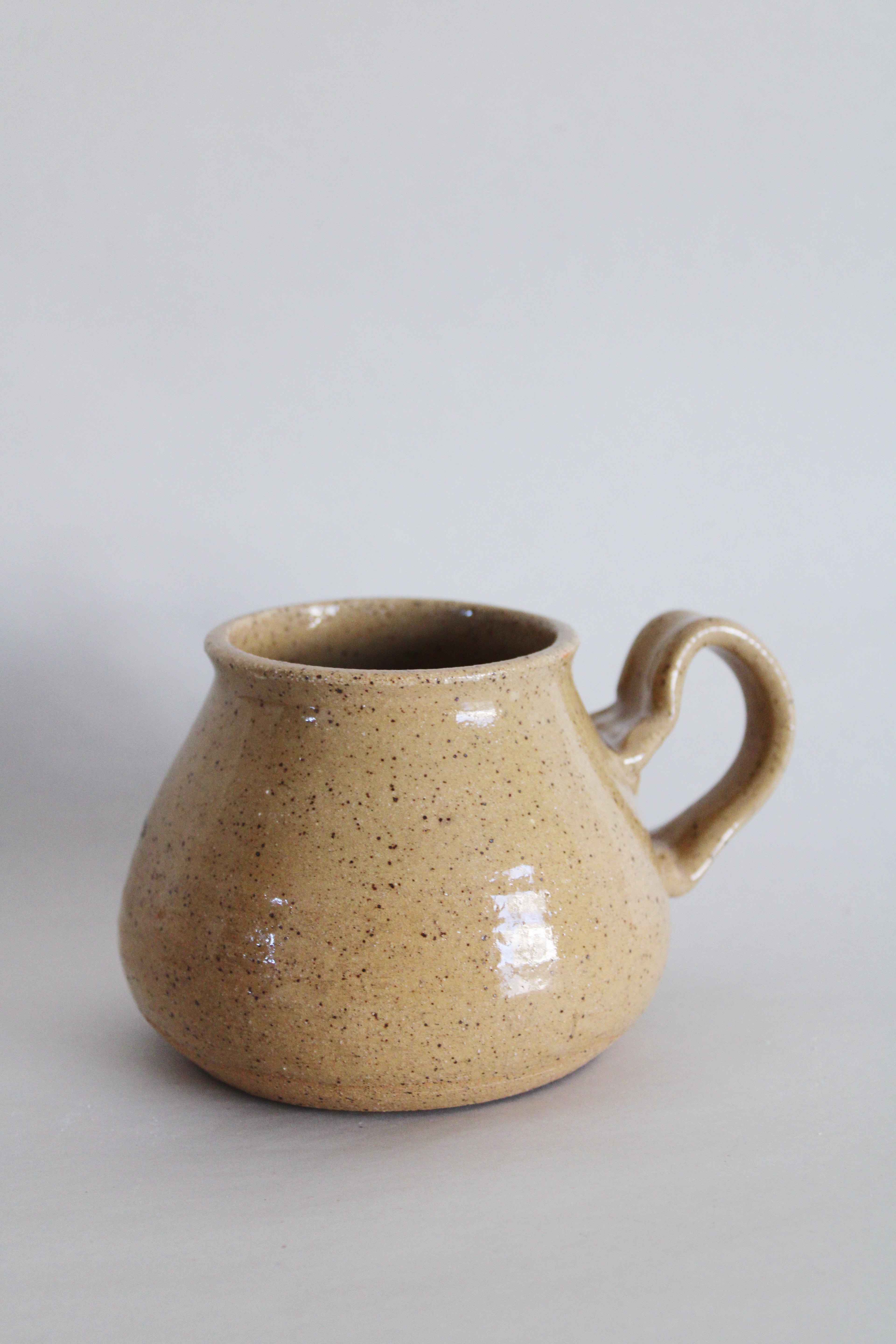 Wood Duck Mug 528