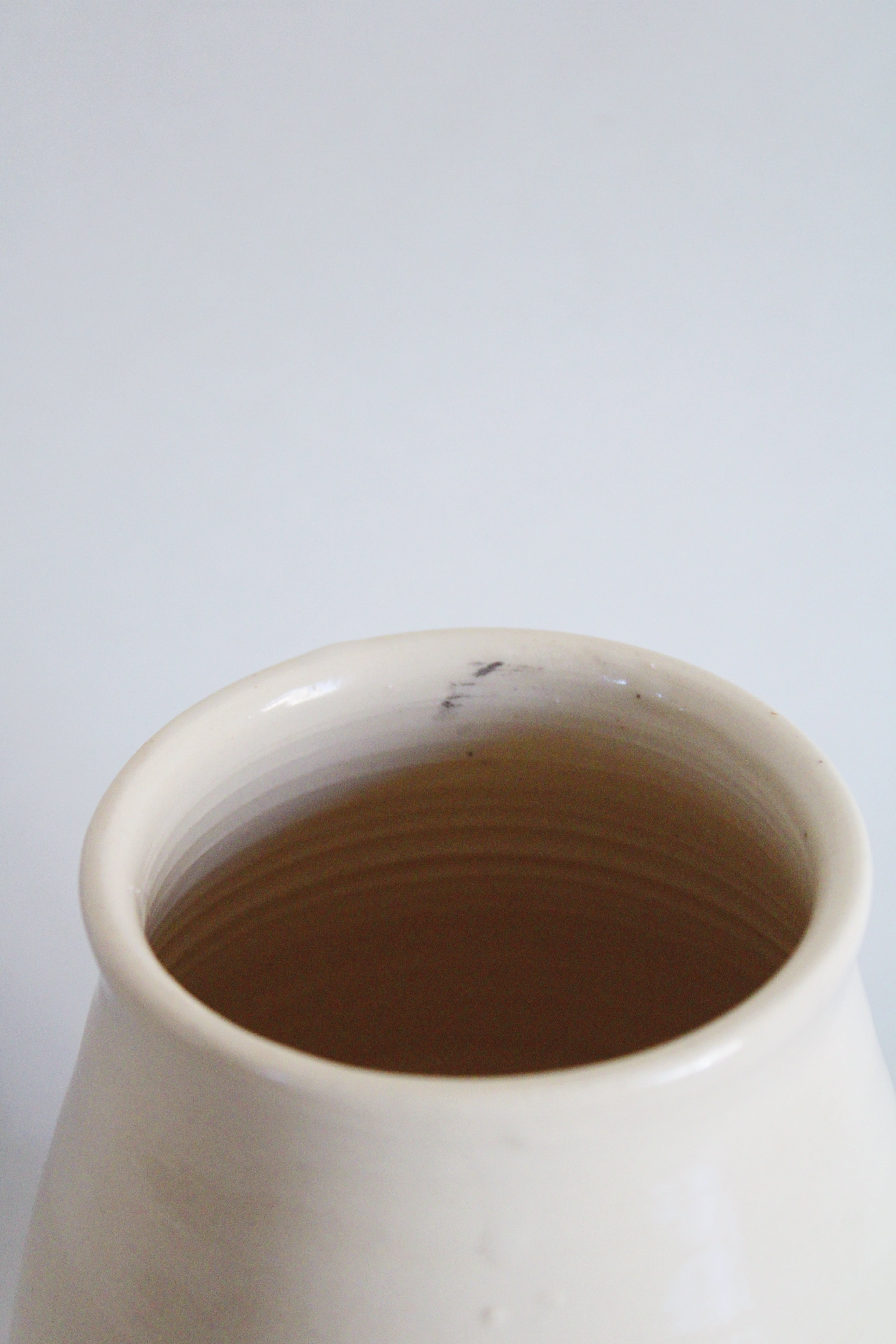 DISCOUNTED Ring-Necked Pheasant Vase 520