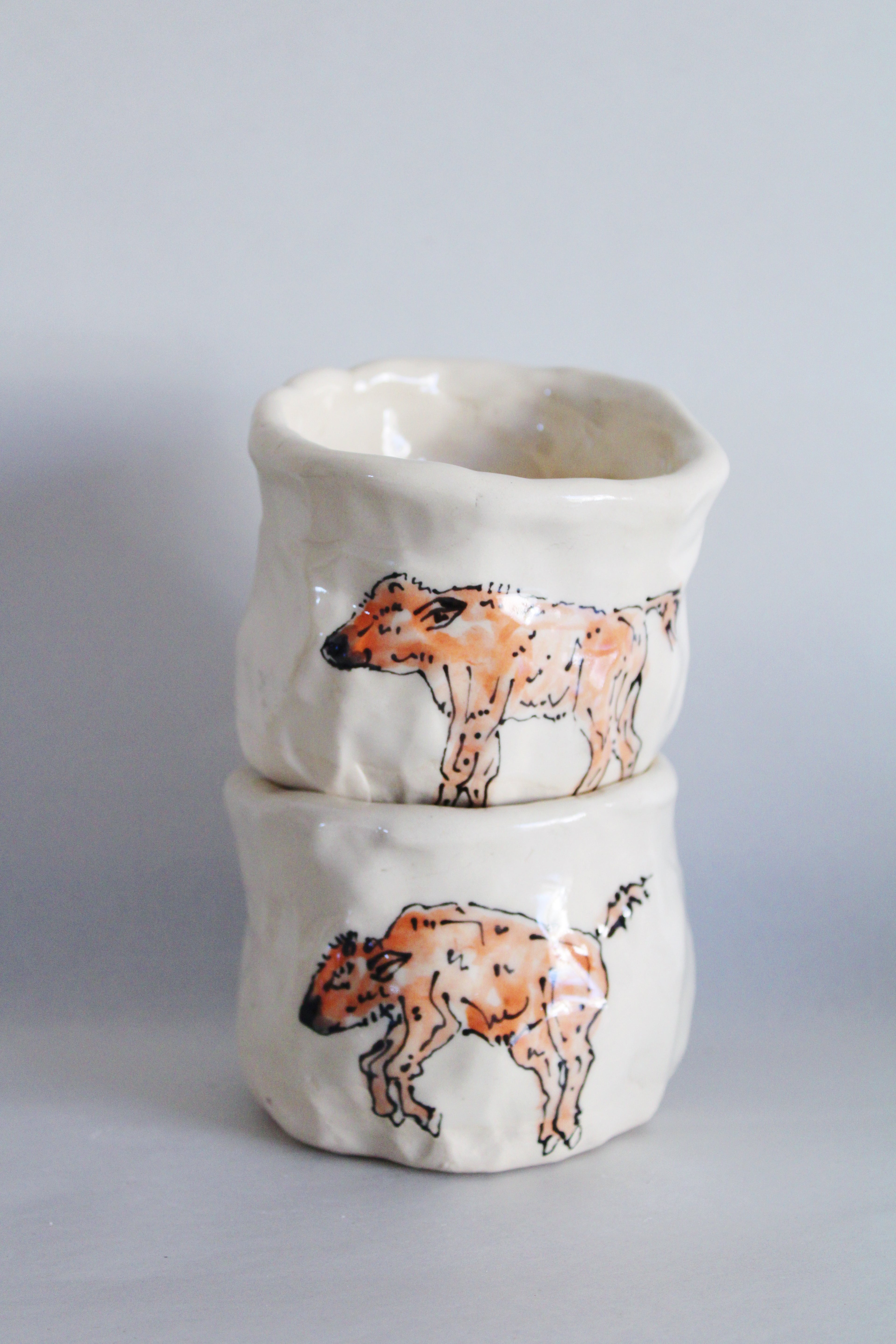 Bison and Calf Set 572