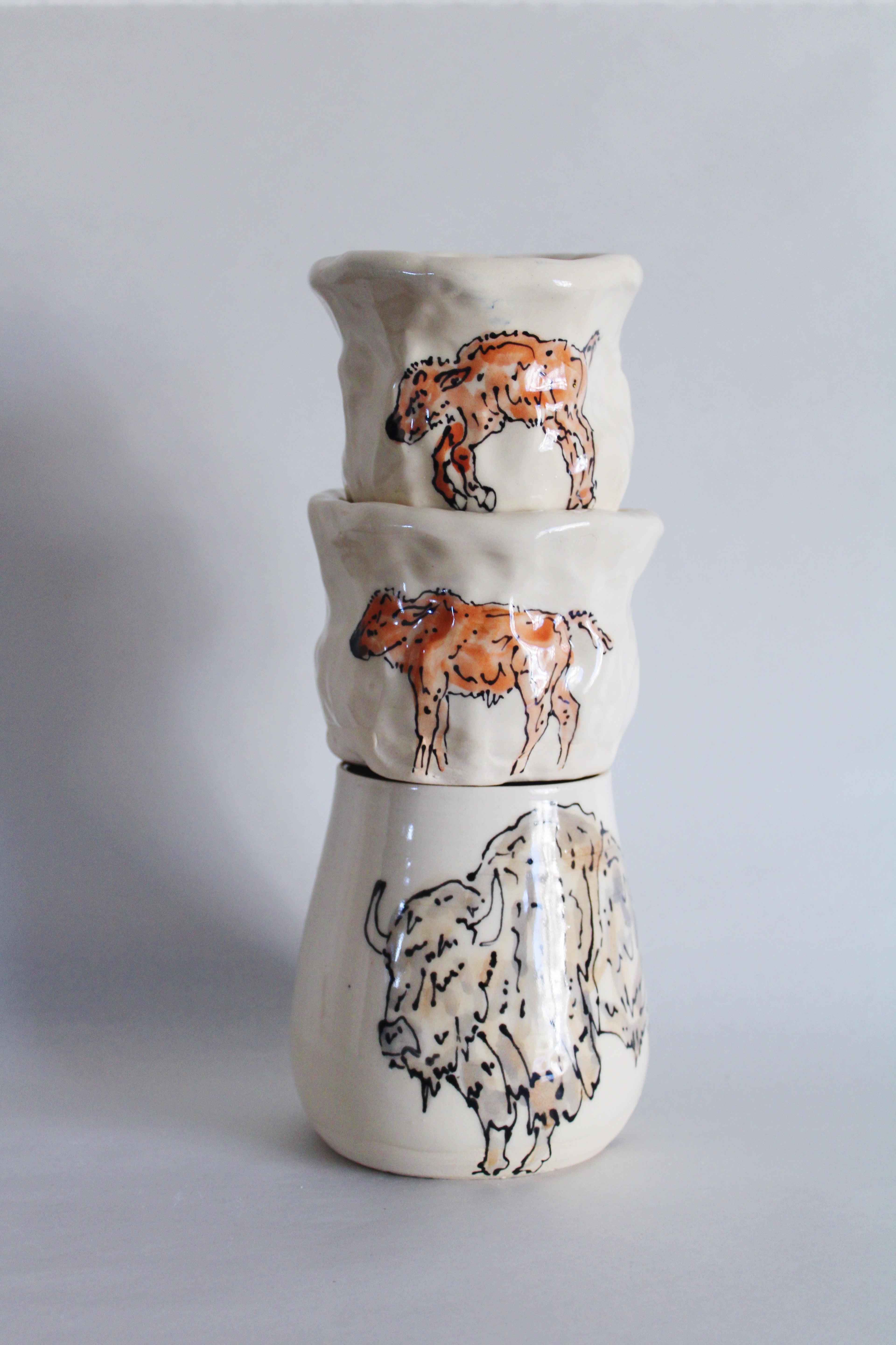 Bison and Calf Set 571