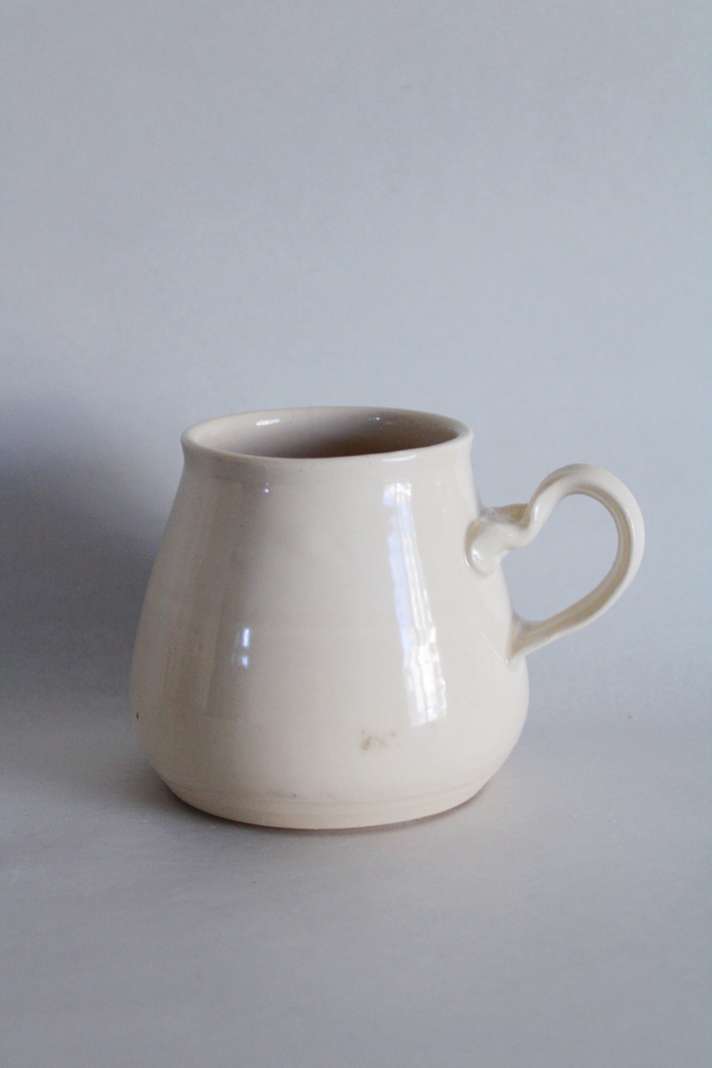 American Bison Mug 567