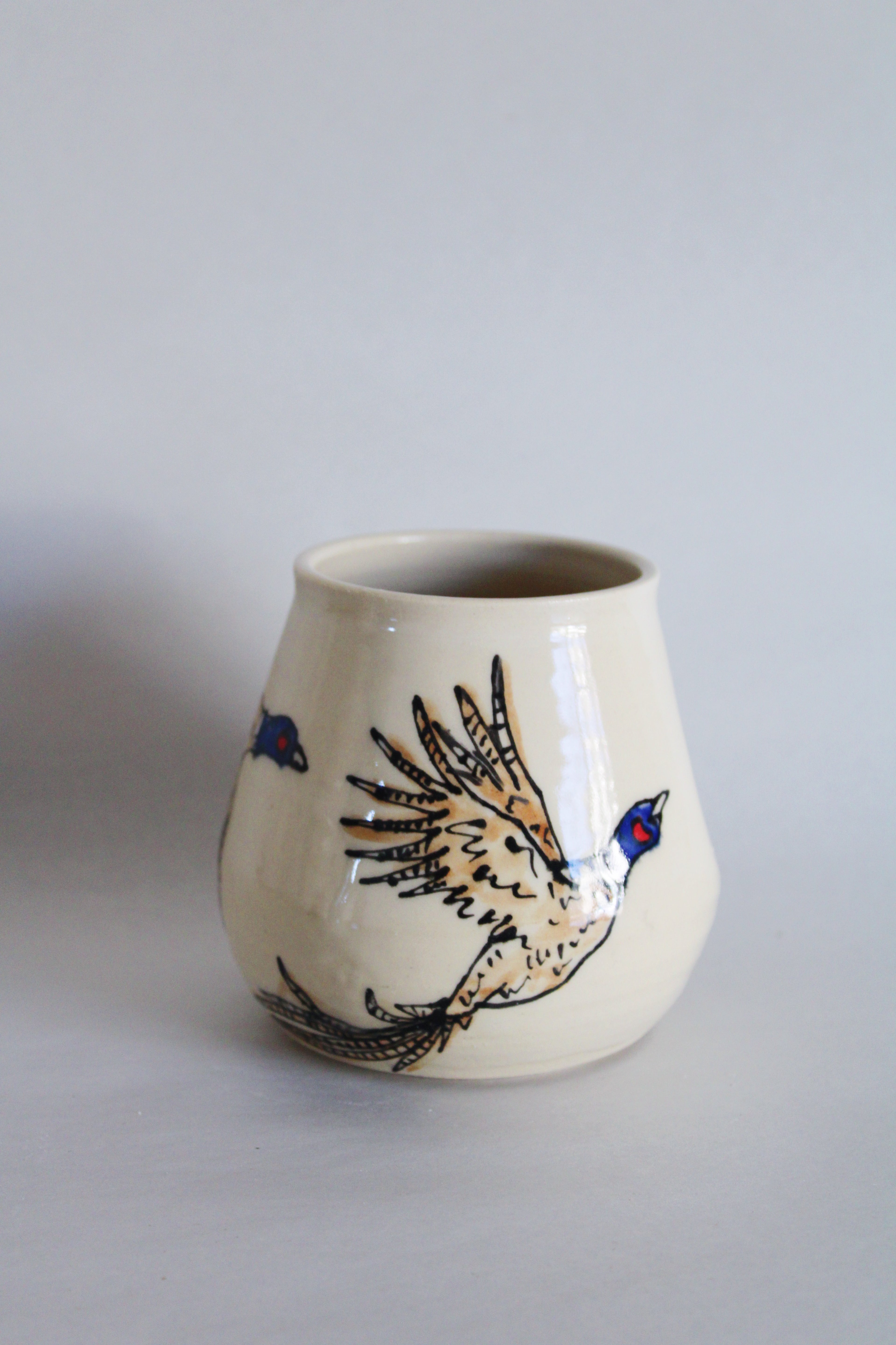 DISCOUNTED Ring-Necked Pheasants Junior Set 574