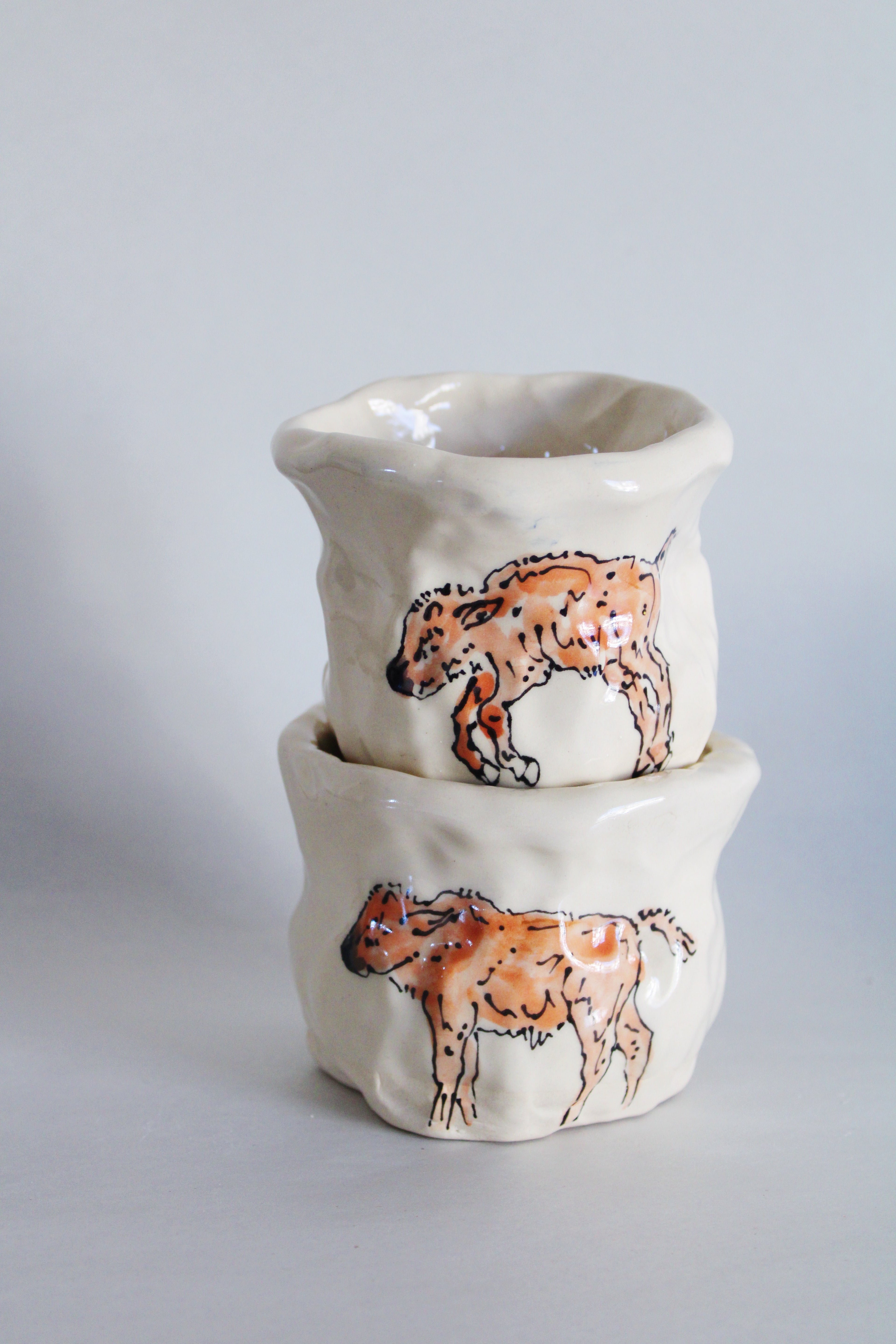 Bison and Calf Set 571