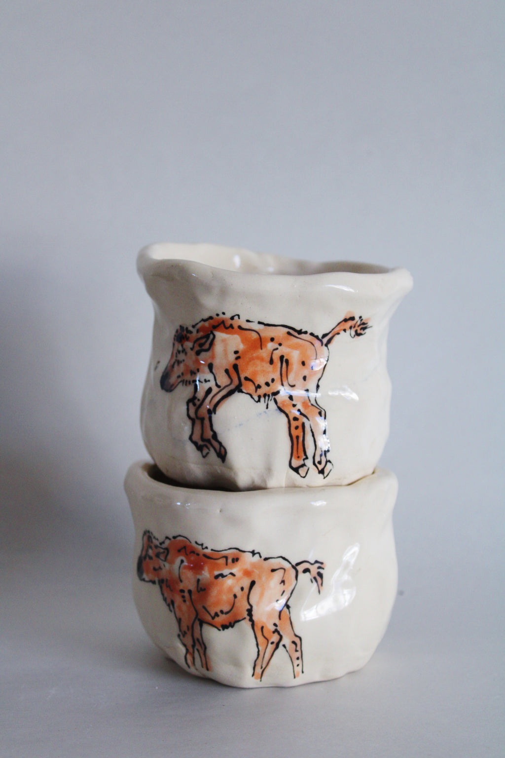 Bison and Calf Set 570