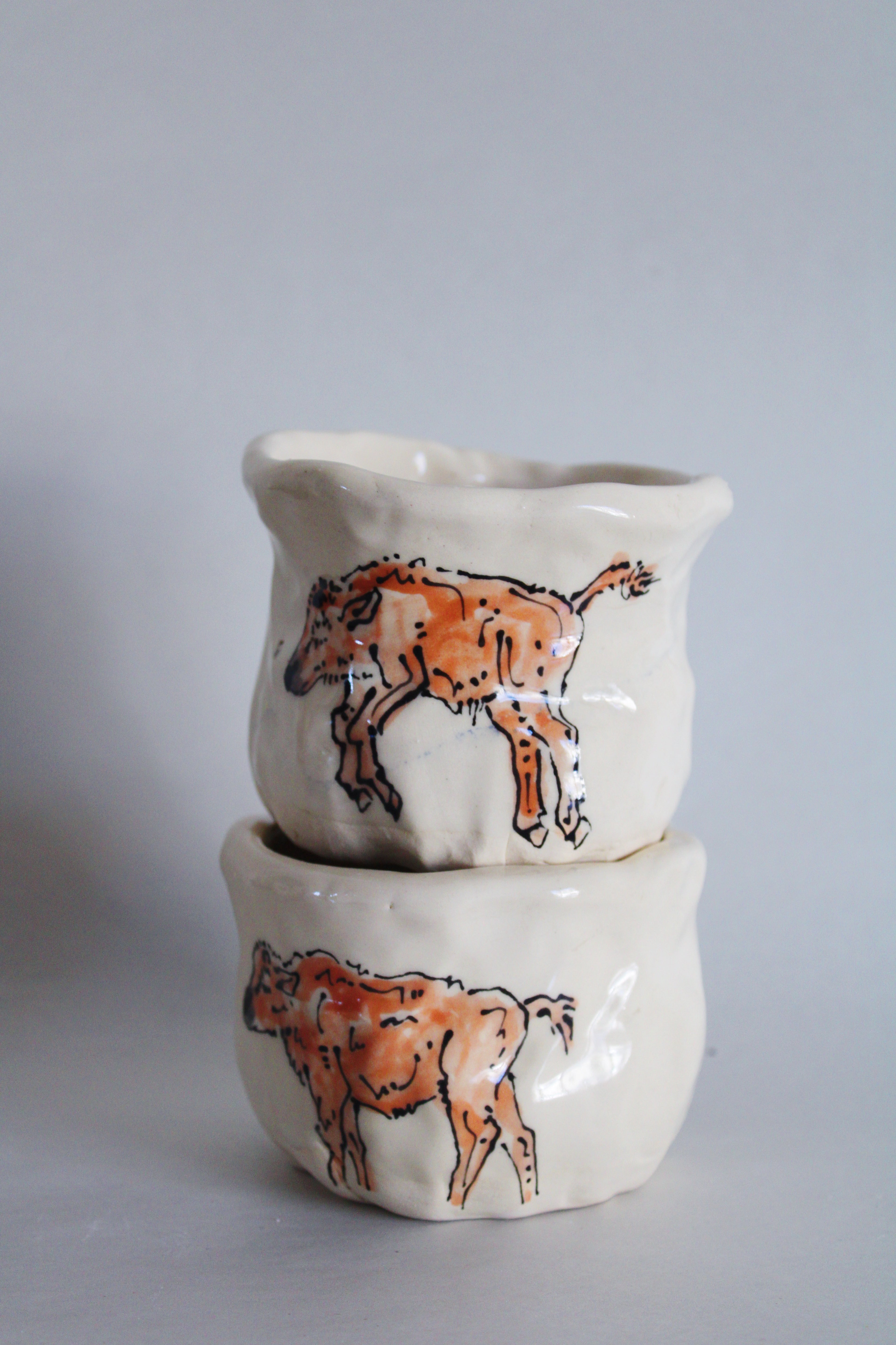 Bison and Calf Set 570