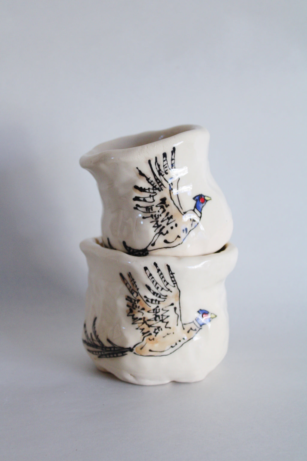 DISCOUNTED Ring-Necked Pheasants Junior Set 575