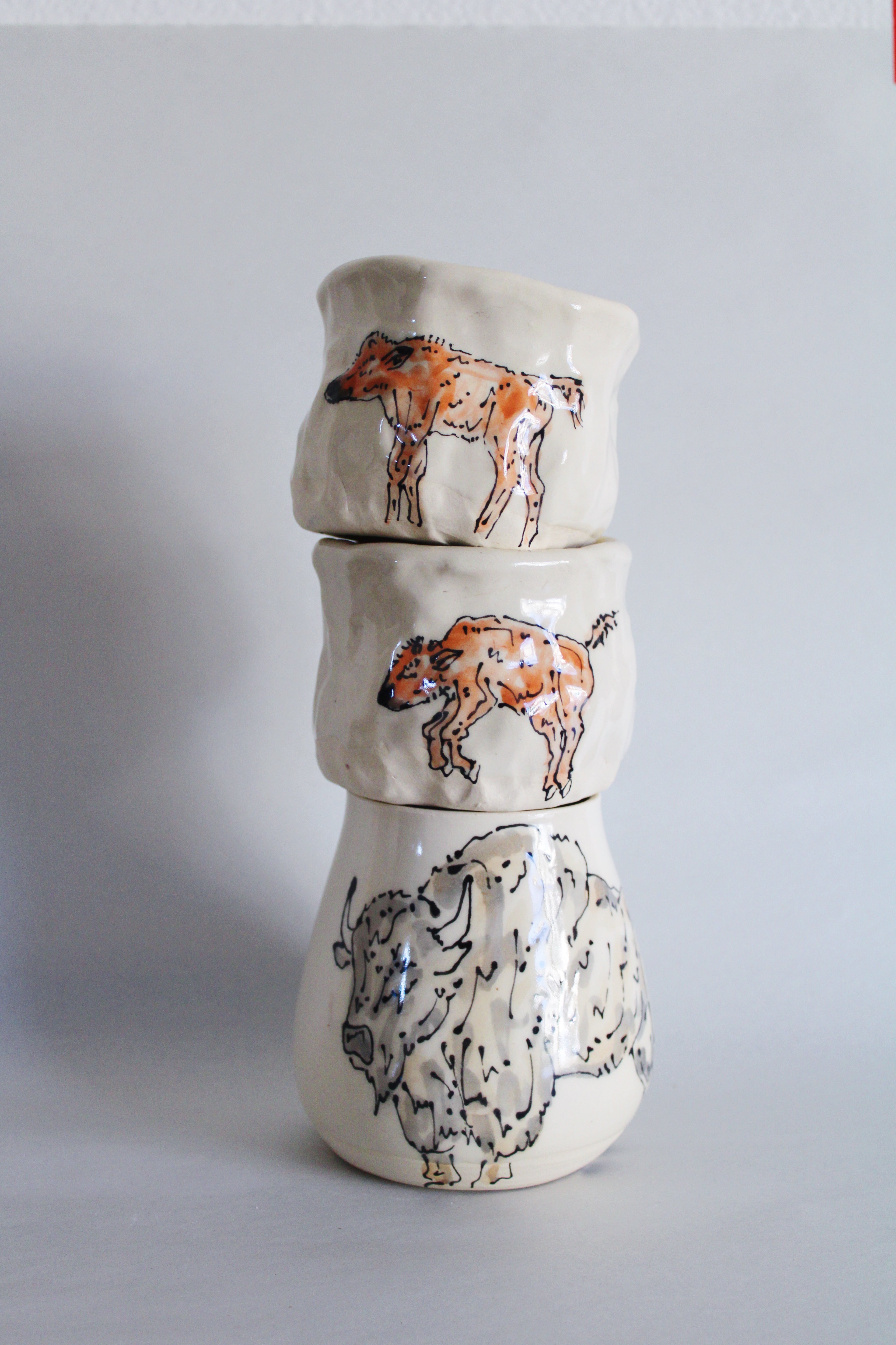 Bison and Calf Set 572