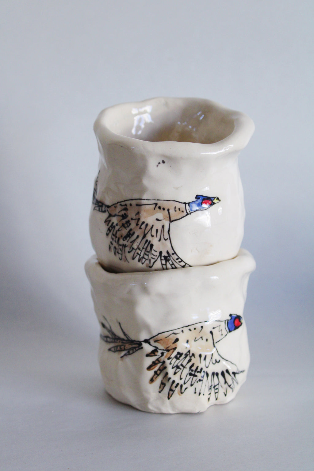 DISCOUNTED Ring-Necked Pheasants Junior Set 574